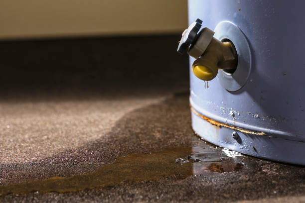 Best Mold removal after water damage  in Douglas, MI