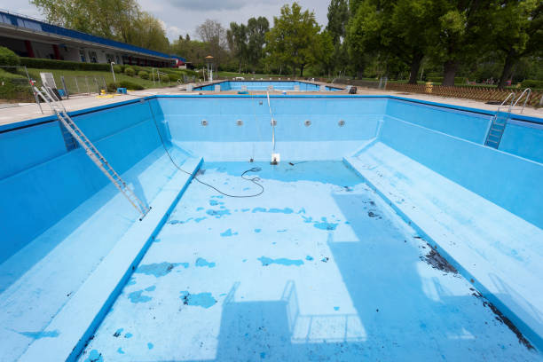 Best Carpet water damage restoration  in Douglas, MI