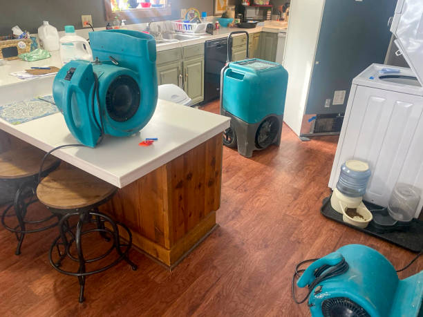 Best Water damage restoration specialists  in Douglas, MI