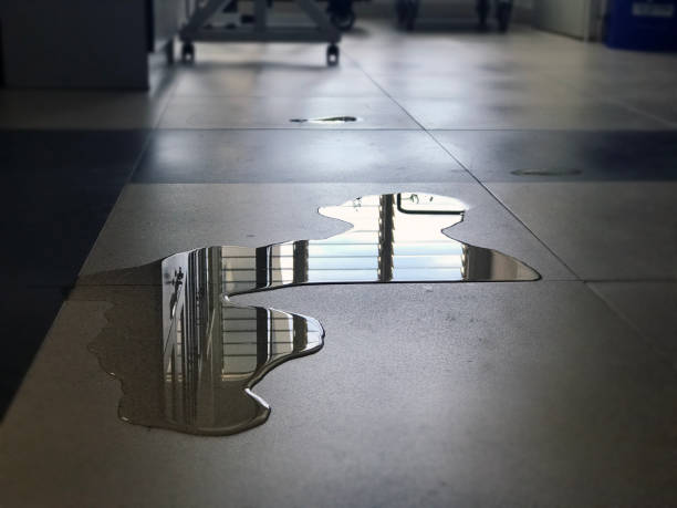 Best Carpet water damage restoration  in Douglas, MI