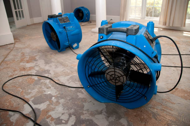  Douglas, MI Water damage restoration Pros