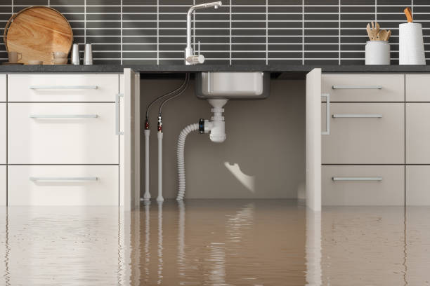 Best Flooded house restoration  in Douglas, MI
