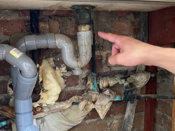 Douglas, MI Water damage restoration Company