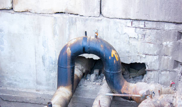 Best Water damage cleanup near me  in Douglas, MI