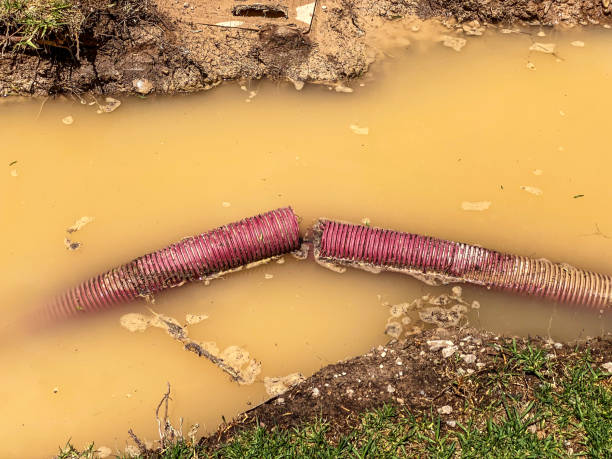 Best 24/7 water damage repair  in Douglas, MI