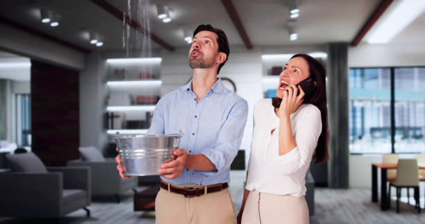 Best Basement water damage restoration  in Douglas, MI